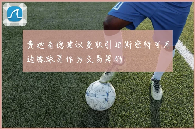 费迪南德建议曼联引进斯密特可用边缘球员作为交易筹码