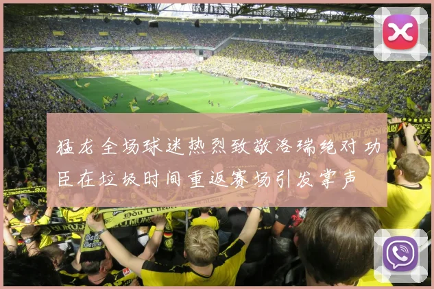 猛龙全场球迷热烈致敬洛瑞绝对功臣在垃圾时间重返赛场引发掌声