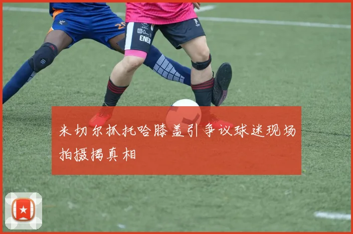 米切尔抓托哈膝盖引争议球迷现场拍摄揭真相